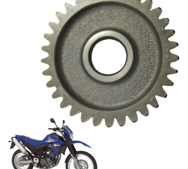 Engrenagem Motor Yamaha Xt 660 R 05-08 Original
