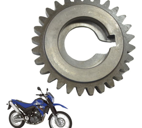 Engrenagem Motor Yamaha Xt 660 R 05-08 Original