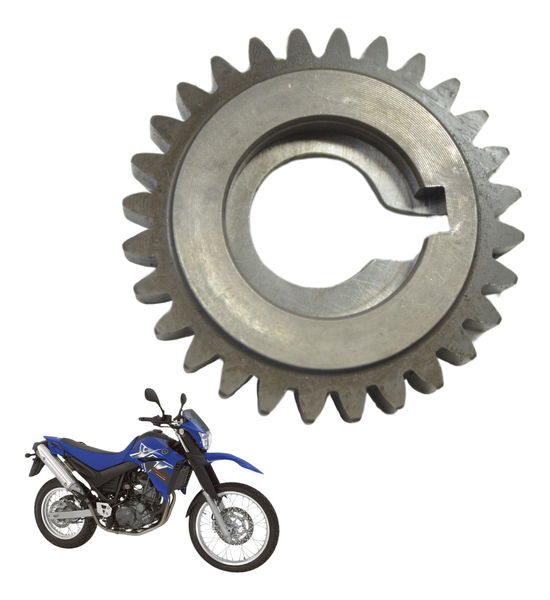 Engrenagem Motor Yamaha Xt 660 R 05-08 Original