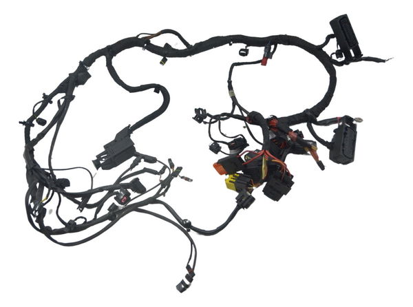 Chicote Principal Bmw S 1000 R 14-17 Original