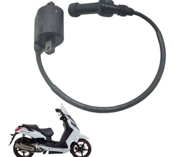 Bobina Ignição Dafra Citycom 300i 11-17 Original