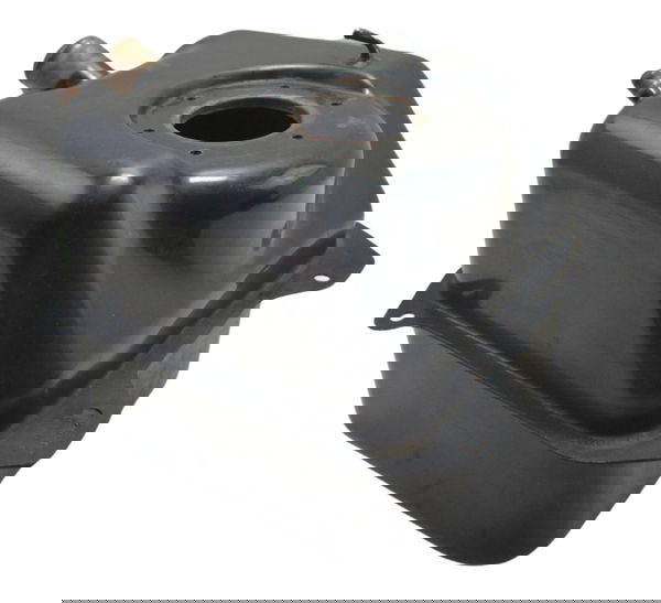 Tanque Combustível Dafra Citycom 300i 11-17 Original