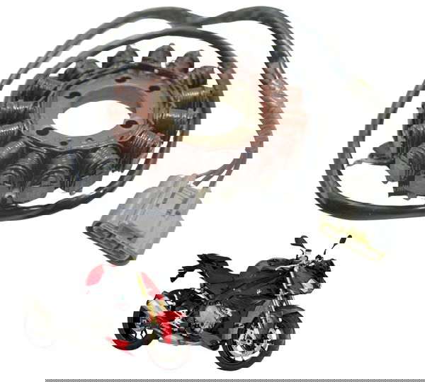 Estator Bmw S 1000 R Xr 15-19 Original