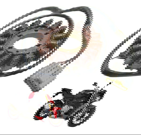 Estator Bmw S 1000 R Xr 15-19 Original