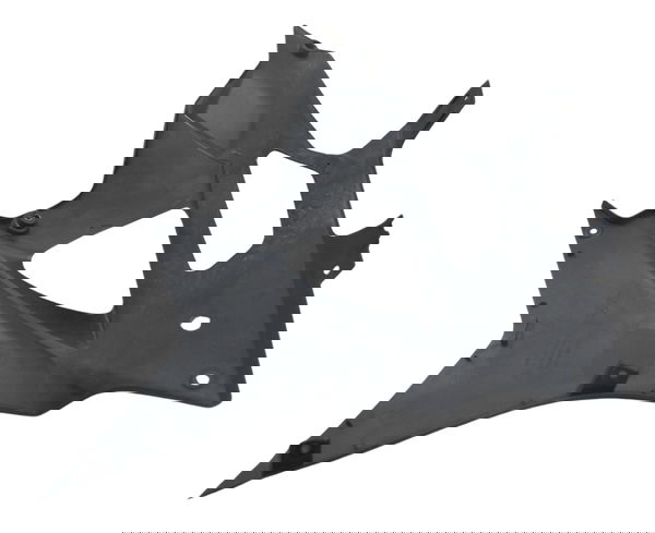 Spoiler Carenagem Lateral Direita C/ Det Bmw S 1000 Rr 10-14