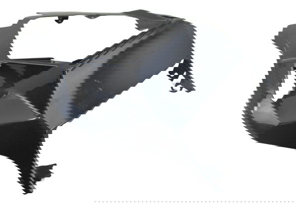 Carenagem Rabeta C/ Avaria Bmw S 1000 Rr 10-14 Original