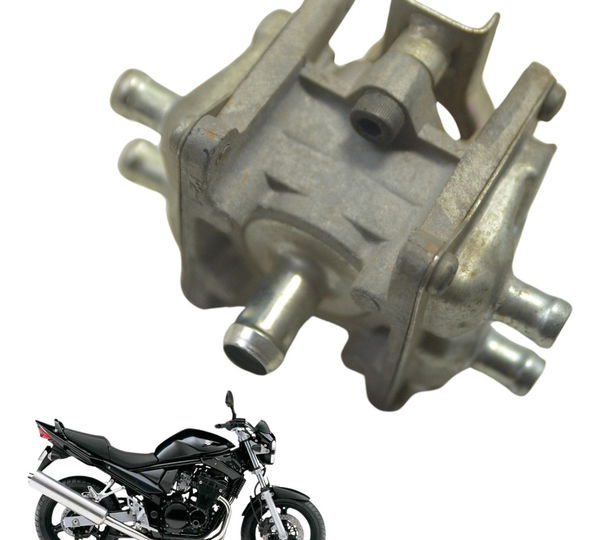 Catalisador Suzuki Bandit 650 S 07-08 Original