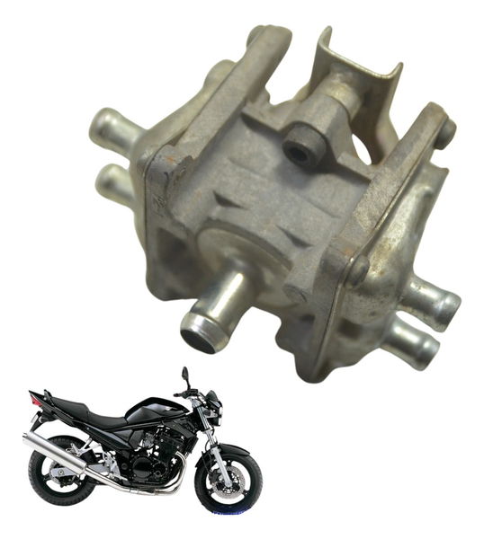 Catalisador Suzuki Bandit 650 S 07-08 Original
