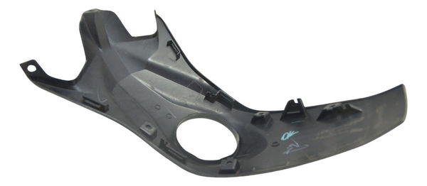 Capa Central Tanque Bmw G 310 Gs 17-20 Original