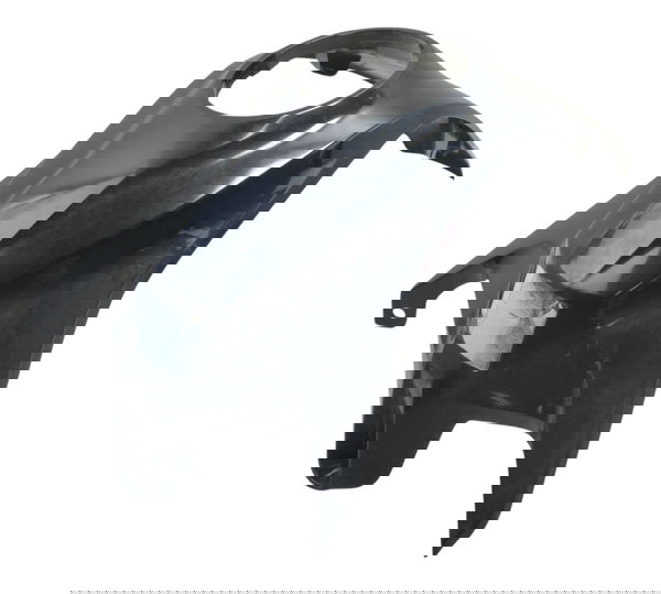 Capa Central Tanque Bmw G 310 Gs 17-20 Original