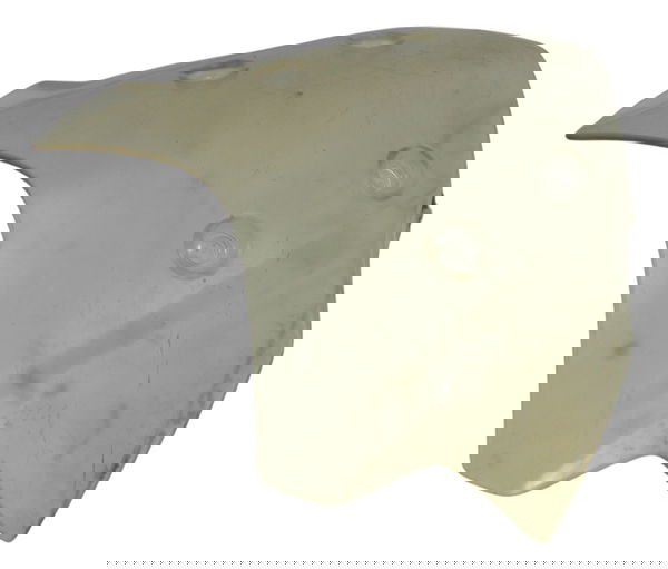 Bolha Bmw G 310 Gs 17-20 Original