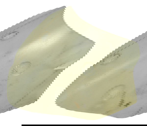 Bolha Bmw G 310 Gs 17-20 Original