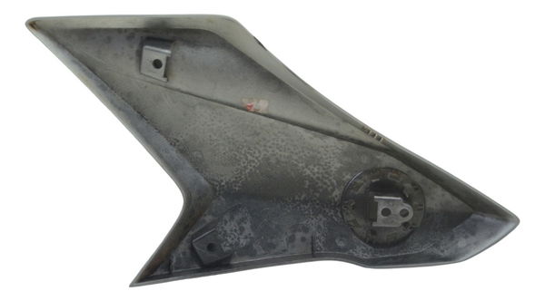 Aleta Tanque Esquerda C/detalhes Bmw G 310 Gs 17-20 Original