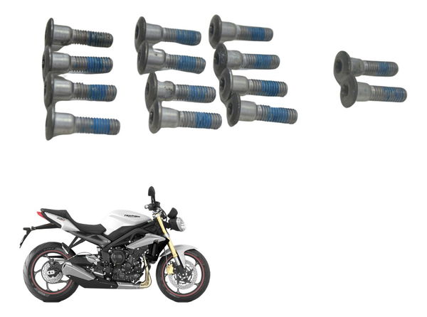 Parafuso Disco Freio Triumph Street Triple 675 13-16 Orig