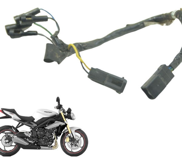 Chicote Lanterna Tras Triumph Street Triple 675 13-16 Orig