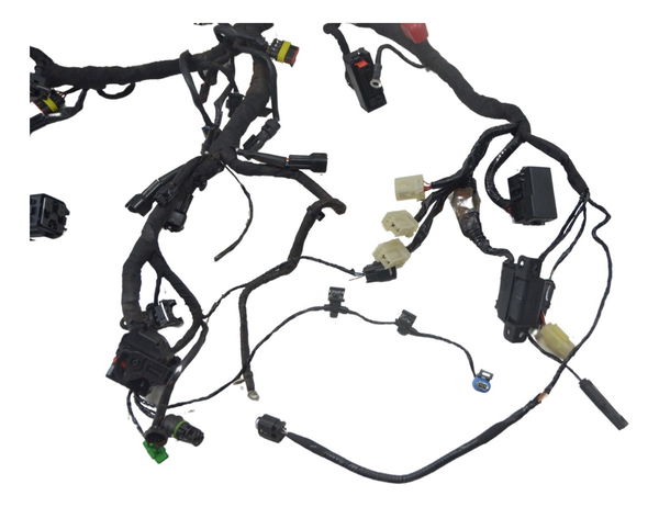 Chicote Principal Bmw G 310 Gs 17-20 Original