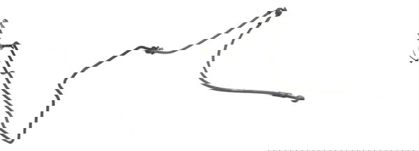 Flexível Freio Dianteiro Bmw G 310 Gs 17-20 Original