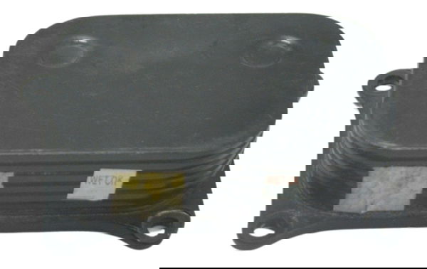 Resfriador Óleo Bmw G 310 Gs 17-20 Original