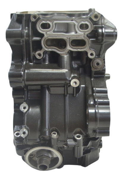 Bloco Motor Carcaça C/ Nfe Bmw G 310 Gs 17-20 Original