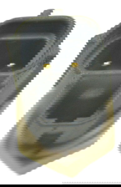 Sensor Temperatura Suzuki Gsx-r 1300 Hayabusa 99-07 Original