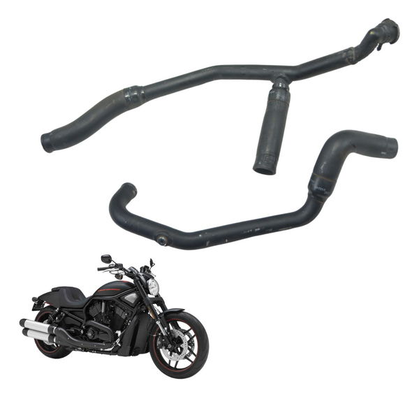 Par Mangueira Bocal Radiador Harley Night Rod 12-16 Original