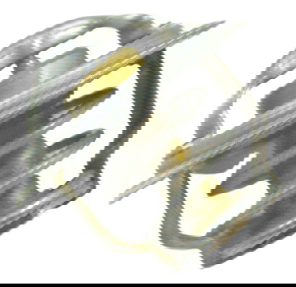 Válvula Termostática Bmw S 1000 R 14-17 Original