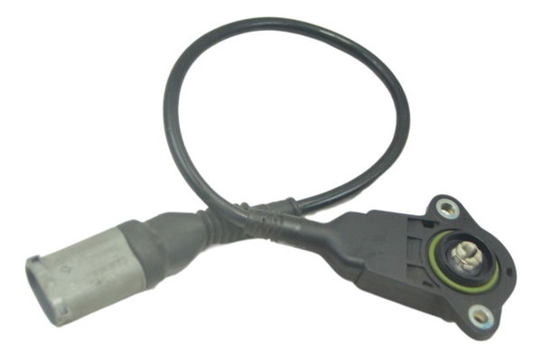 Sensor Tps Bmw S 1000 R 14-17 Original