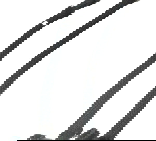 Par Mangueira Injeção Harley Night Rod 12-16 Original