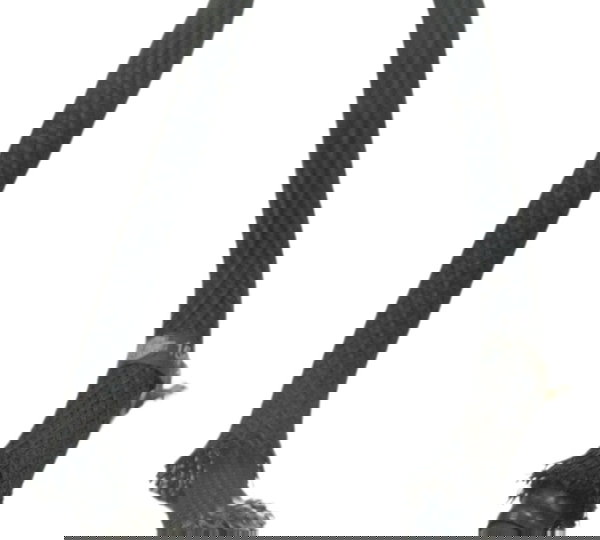 Par Mangueira Injeção Harley Night Rod 12-16 Original