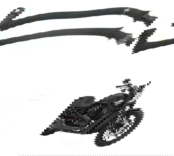 Par Mangueira Injeção Harley Night Rod 12-16 Original