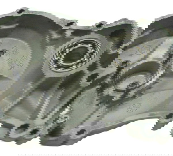 Tampa Motor Esquerda C/ Detalhes Bmw S 1000 R 14-17 Original