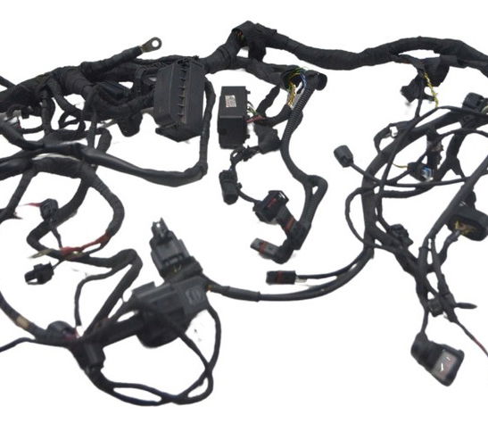 Chicote Principal Bmw R1250 R 1250 Original