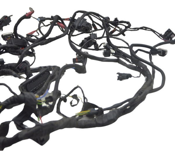 Chicote Principal Bmw R1250 R 1250 Original