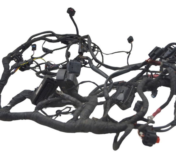 Chicote Principal Bmw R1250 R 1250 Original