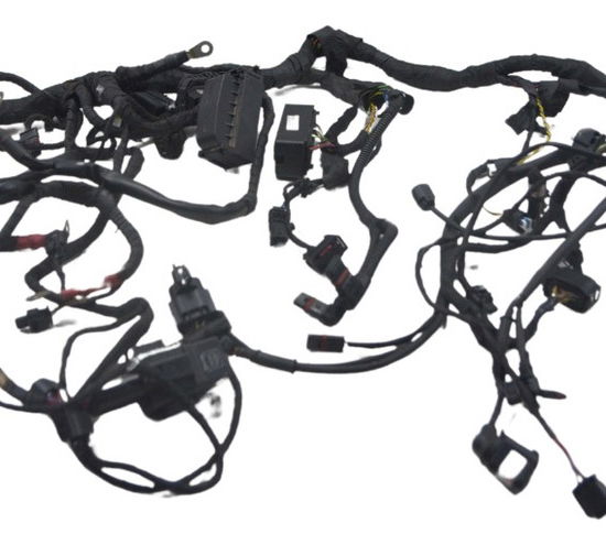 Chicote Principal Bmw R1250 R 1250 Original