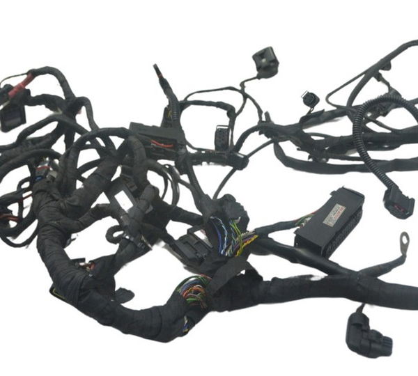 Chicote Principal Bmw R1200 R 1200 Gs 13-18 Original