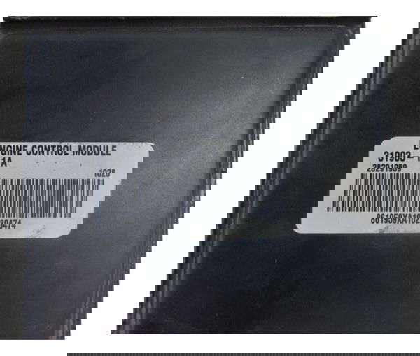 Modulo Central Ecm Harley Softail Fat Boy 2011 Original