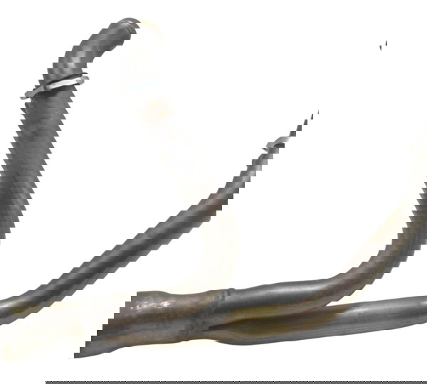 Curva Escape Harley Street Glide Cvo 2020