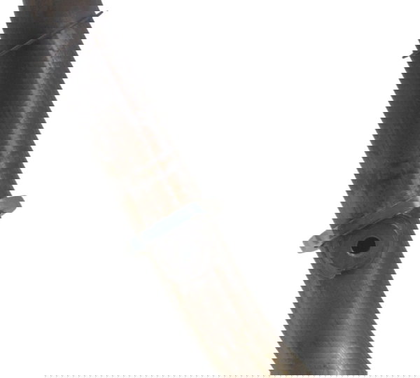 Curva Escape Harley Street Glide Cvo 2020