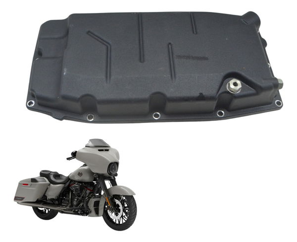 Tampa Carter Harley Street Glide Cvo 2020