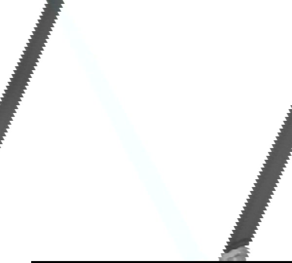 Vareta Pedal Freio Harley 883 Sportster Original