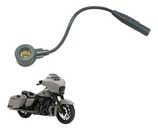 Sensor Detonação Harley Street Glide Cvo 2020 Original