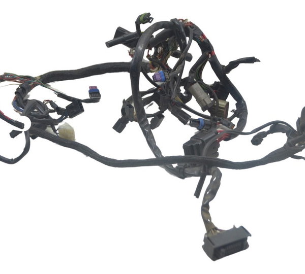 Chicote Principal Harley Xl 1200 Forty Eight Original