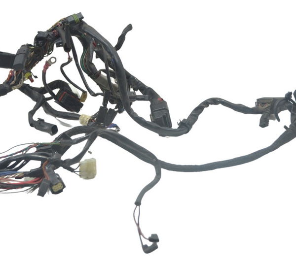 Chicote Principal Harley Xl 1200 Forty Eight Original