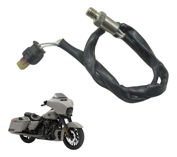 Sensor Temperatura Harley Street Glide Cvo 2020 Original