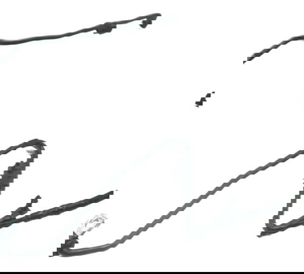 Flexível Freio Traseiro Harley Street Glide Cvo 2020 Orig