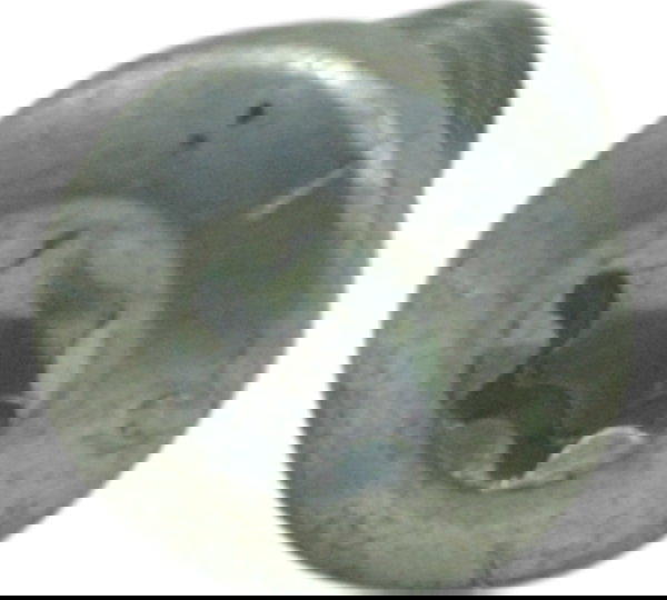 Parafuso Disco Freio Traseiro Harley Street Glide Cvo 2020