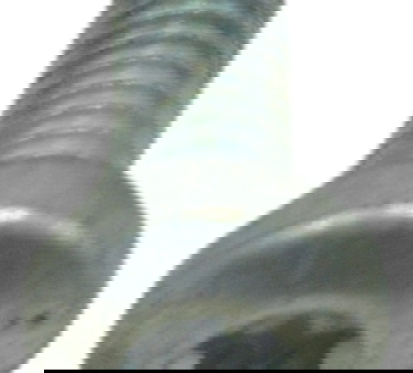 Parafuso Disco Freio Traseiro Harley Street Glide Cvo 2020