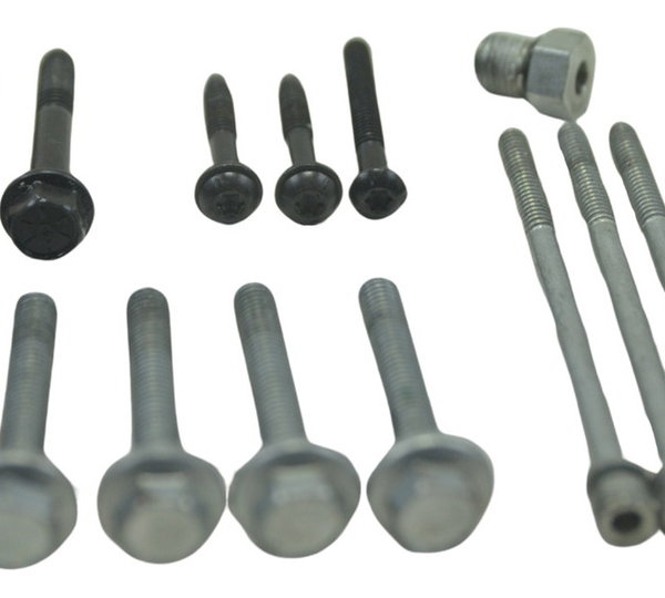 Jogo Parafuso Caixa Marcha Harley Street Glide Cvo 2020 Orig