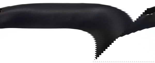 Protetor Escape Tras C/ Detalhes Harley 883 Iron 2019 Orig